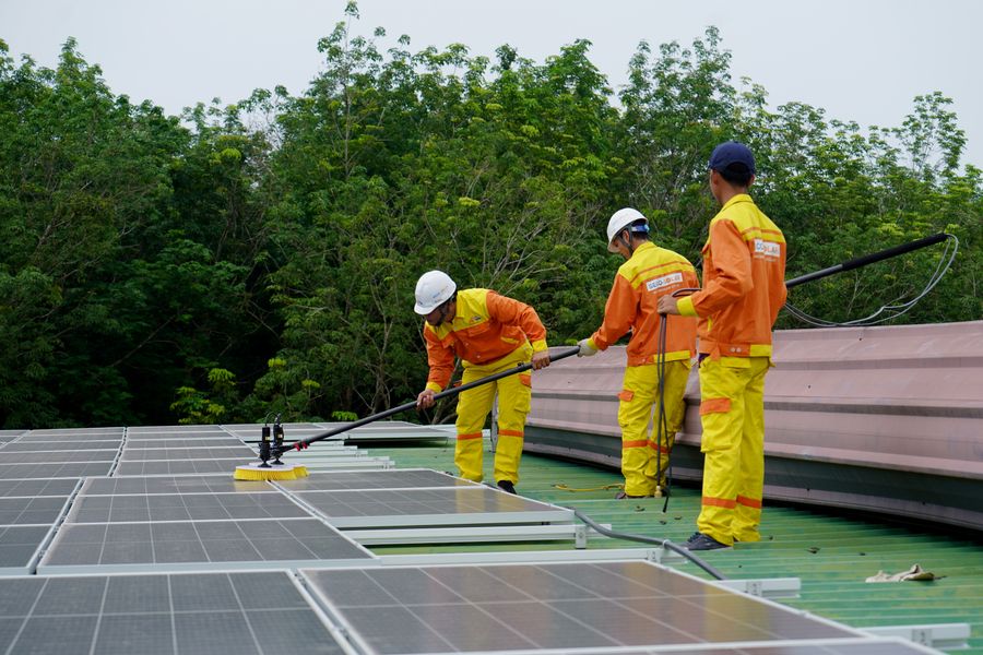 A crew in hi-vis cleaning module rows with reach-and-wash poles