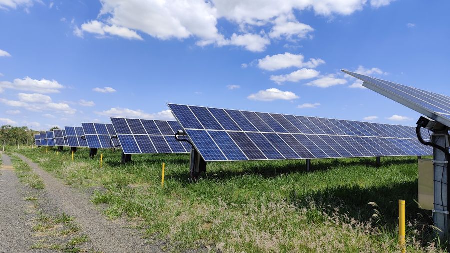 Grass and a mown access track running between rows of solar panels